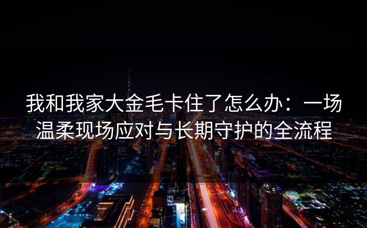 我和我家大金毛卡住了怎么办：一场温柔现场应对与长期守护的全流程
