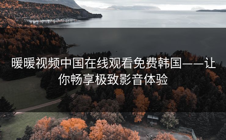 暖暖视频中国在线观看免费韩国——让你畅享极致影音体验