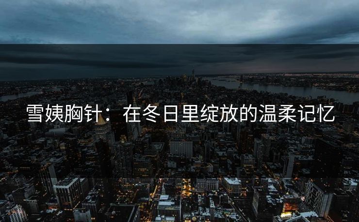 雪姨胸针：在冬日里绽放的温柔记忆