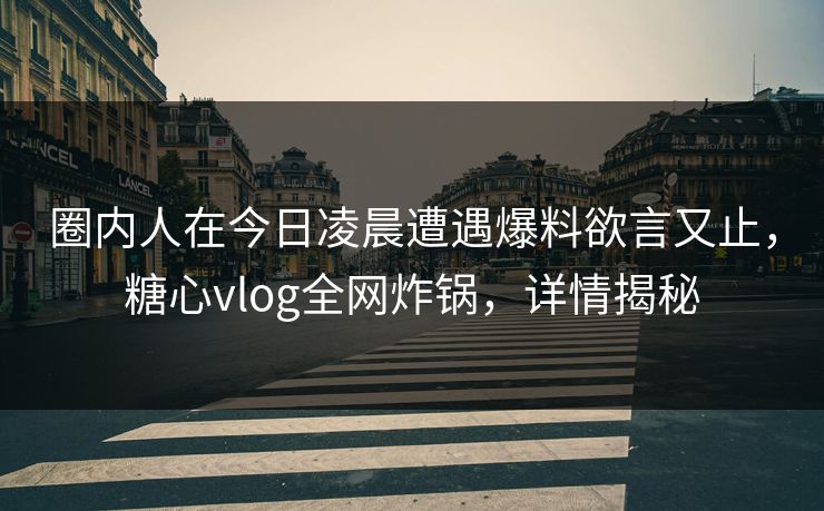 圈内人在今日凌晨遭遇爆料欲言又止，糖心vlog全网炸锅，详情揭秘