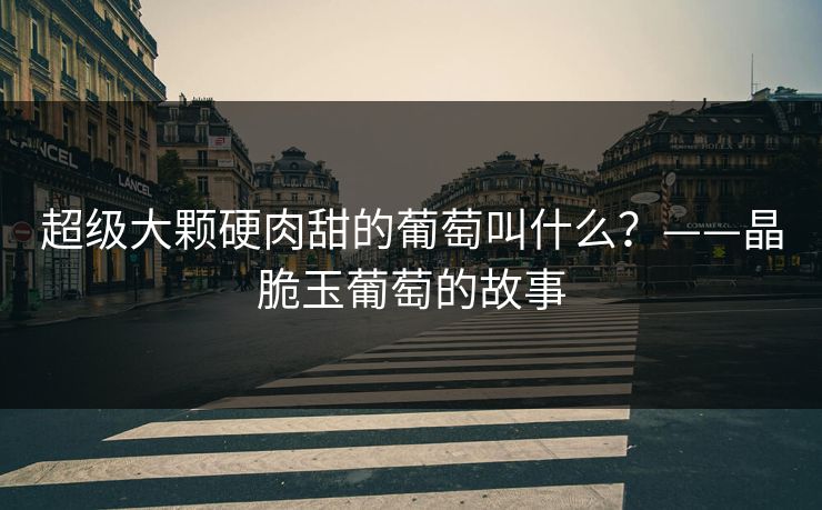 超级大颗硬肉甜的葡萄叫什么?——晶脆玉葡萄的故事 超级大颗硬肉甜的葡萄叫什么?——晶脆玉葡萄的故事
