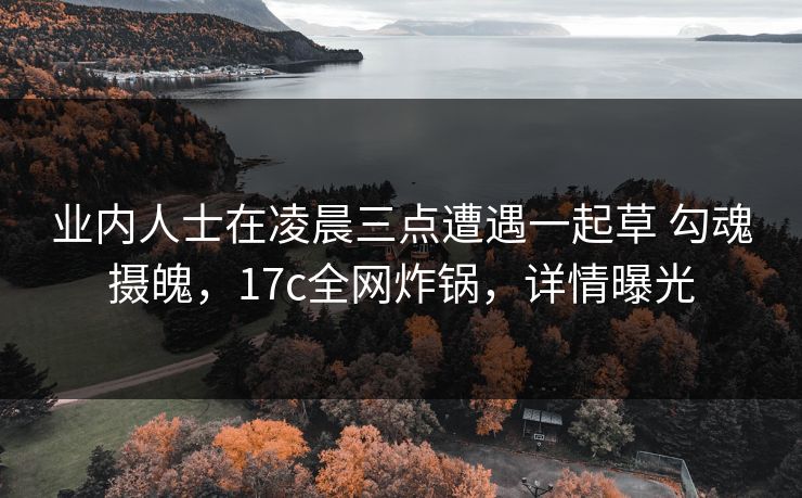 业内人士在凌晨三点遭遇一起草 勾魂摄魄，17c全网炸锅，详情曝光