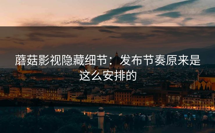 蘑菇影视隐藏细节：发布节奏原来是这么安排的